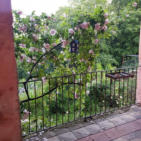Appartamento Nel Verde Mosso Santa Maria Εξωτερικό φωτογραφία