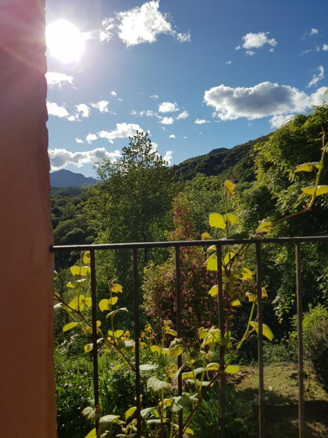 Appartamento Nel Verde Mosso Santa Maria Εξωτερικό φωτογραφία