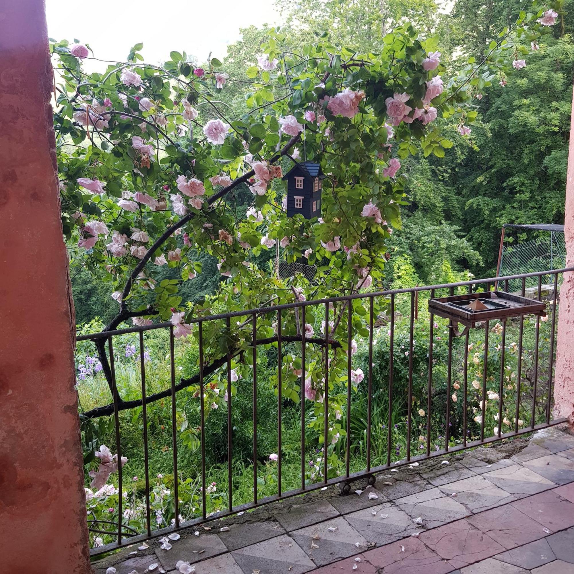 Appartamento Nel Verde Mosso Santa Maria Εξωτερικό φωτογραφία