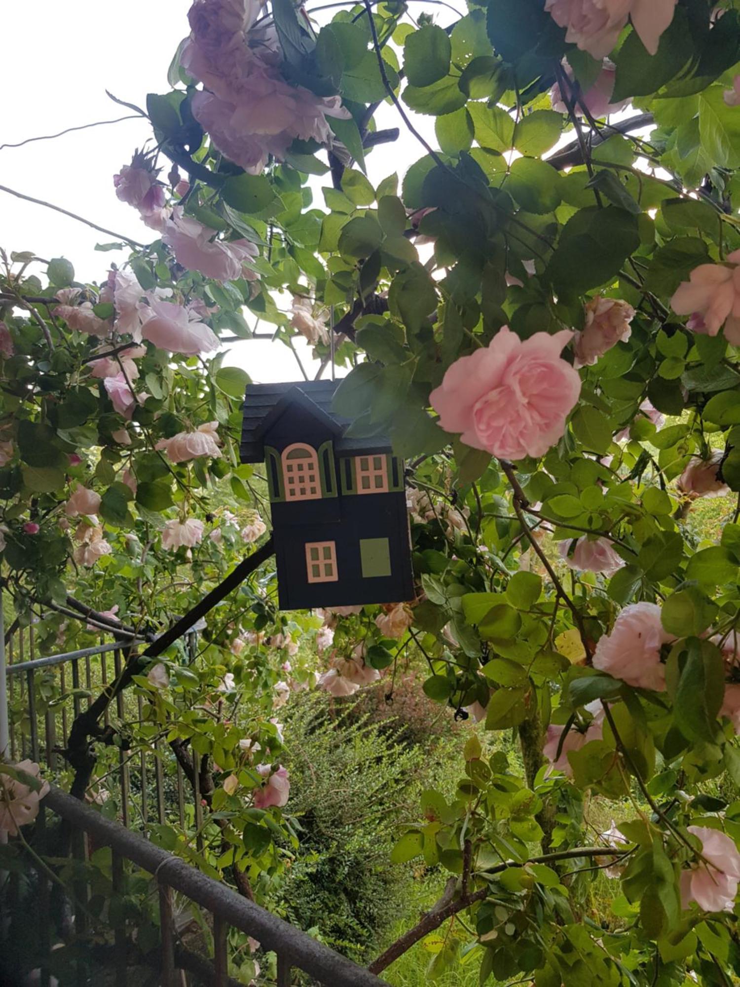 Appartamento Nel Verde Mosso Santa Maria Εξωτερικό φωτογραφία
