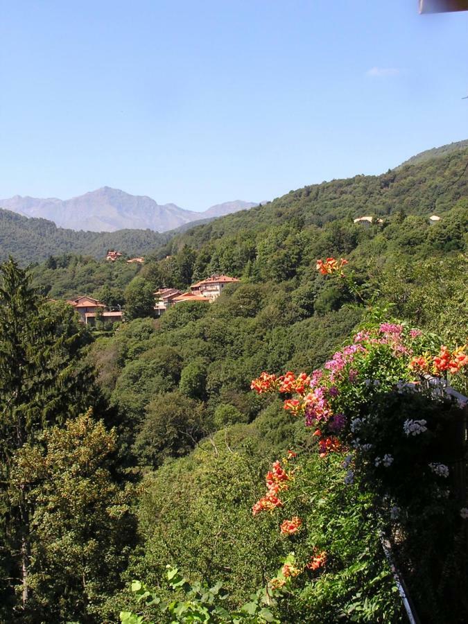 Appartamento Nel Verde Mosso Santa Maria Εξωτερικό φωτογραφία